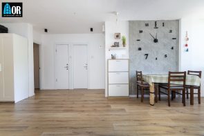 אלרואי 14 רמבם ראשלצ (2)